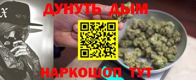 индика Пугачёв