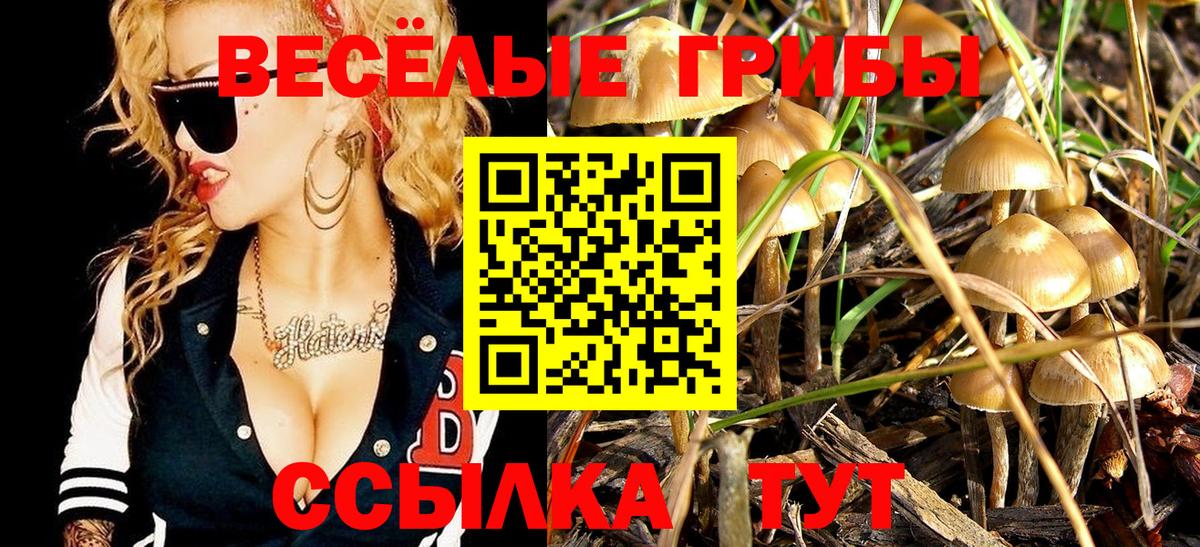 Галлюциногенные грибы Psilocybe  Вход с VPN  Светлоград 
